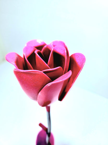 Pink Sparkle Rose
