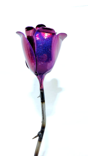 Violet Color Shift Rose